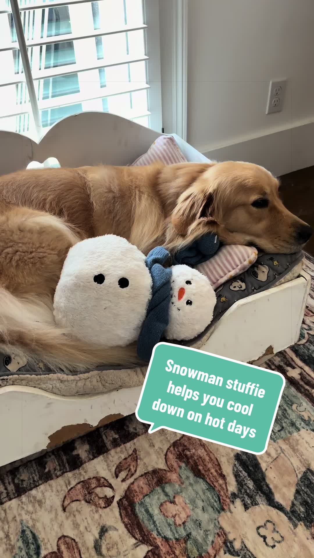 @DogMomisms