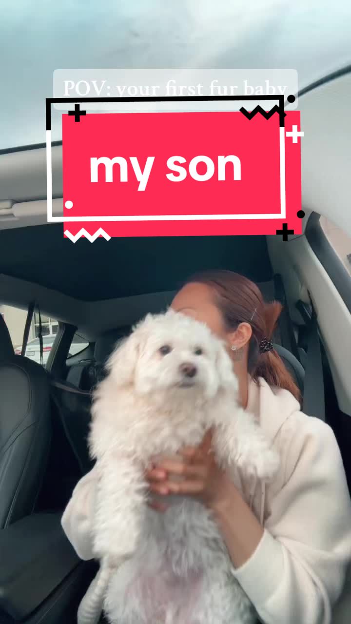 @_a_chow_