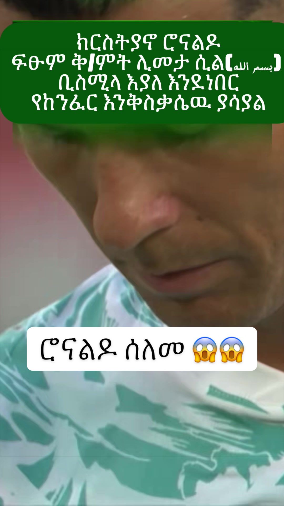@Mr.Mehdi