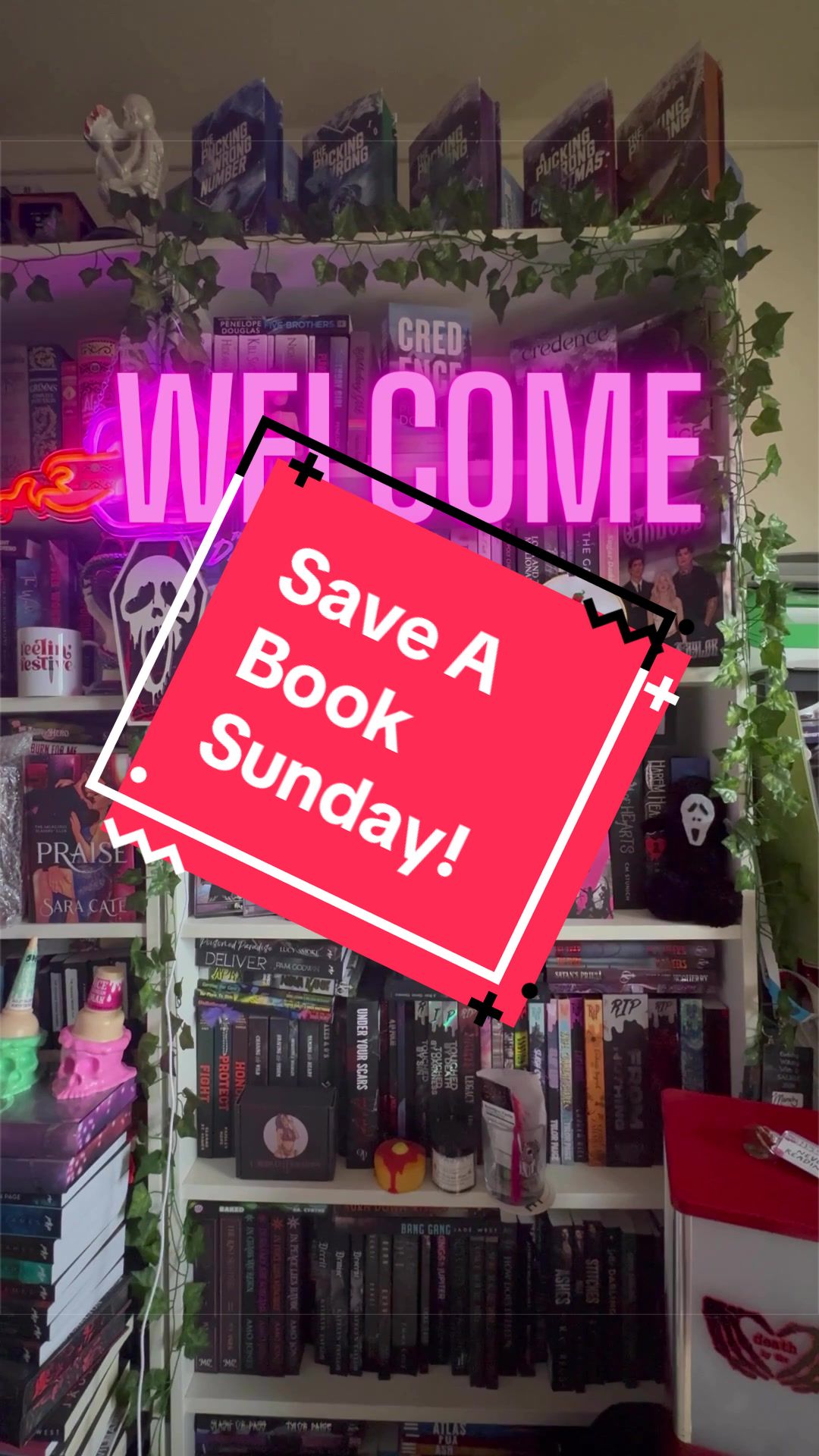@themandysin 📚🦇
