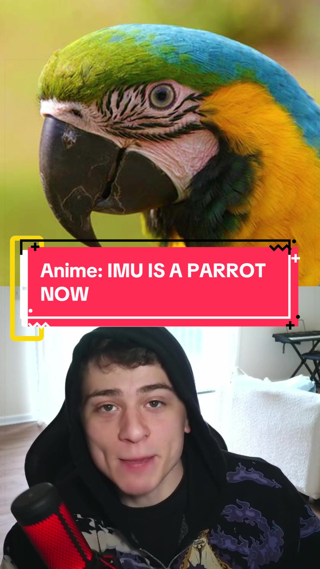 @Thenerdking