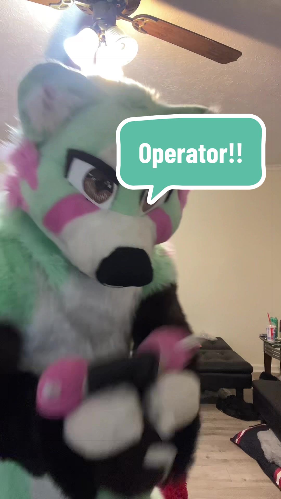 @Ayn BlackFox