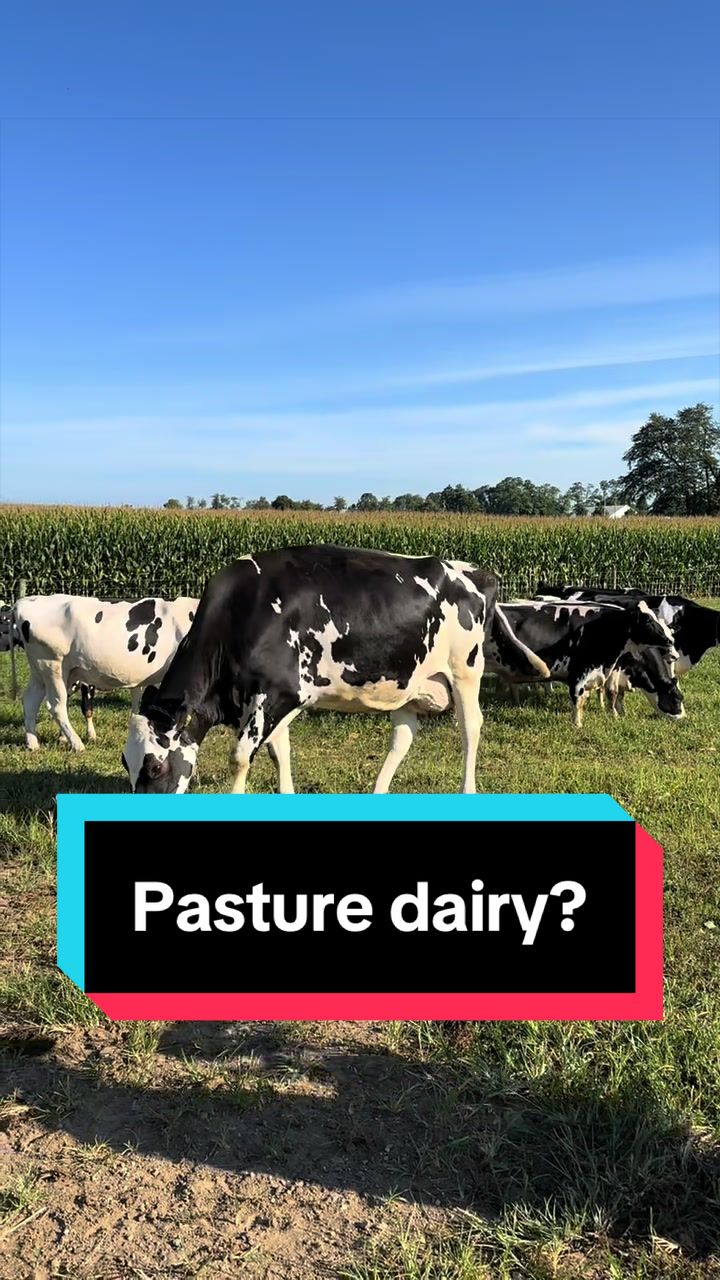 @Dairy Vet Dr. Michelle