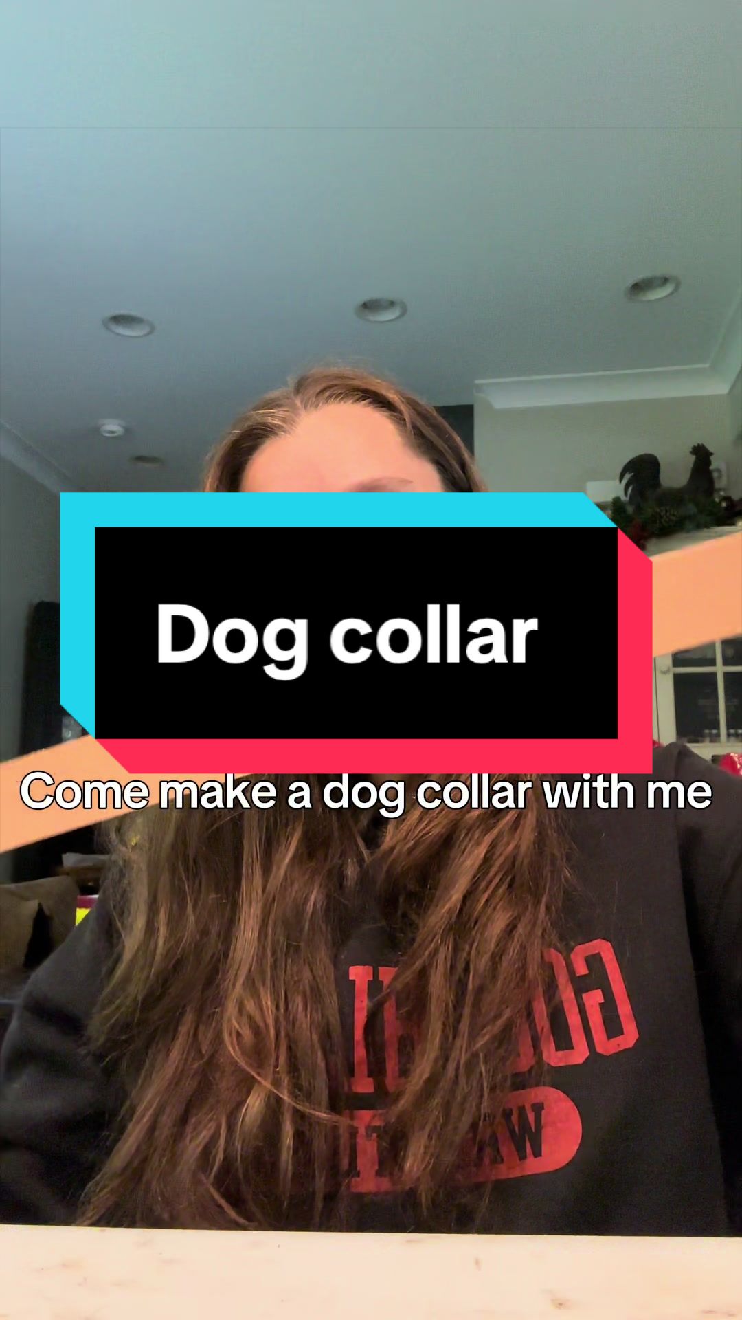 @that-horsechick