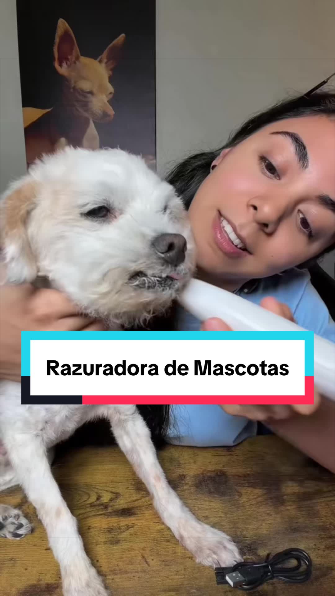 @DulceVause