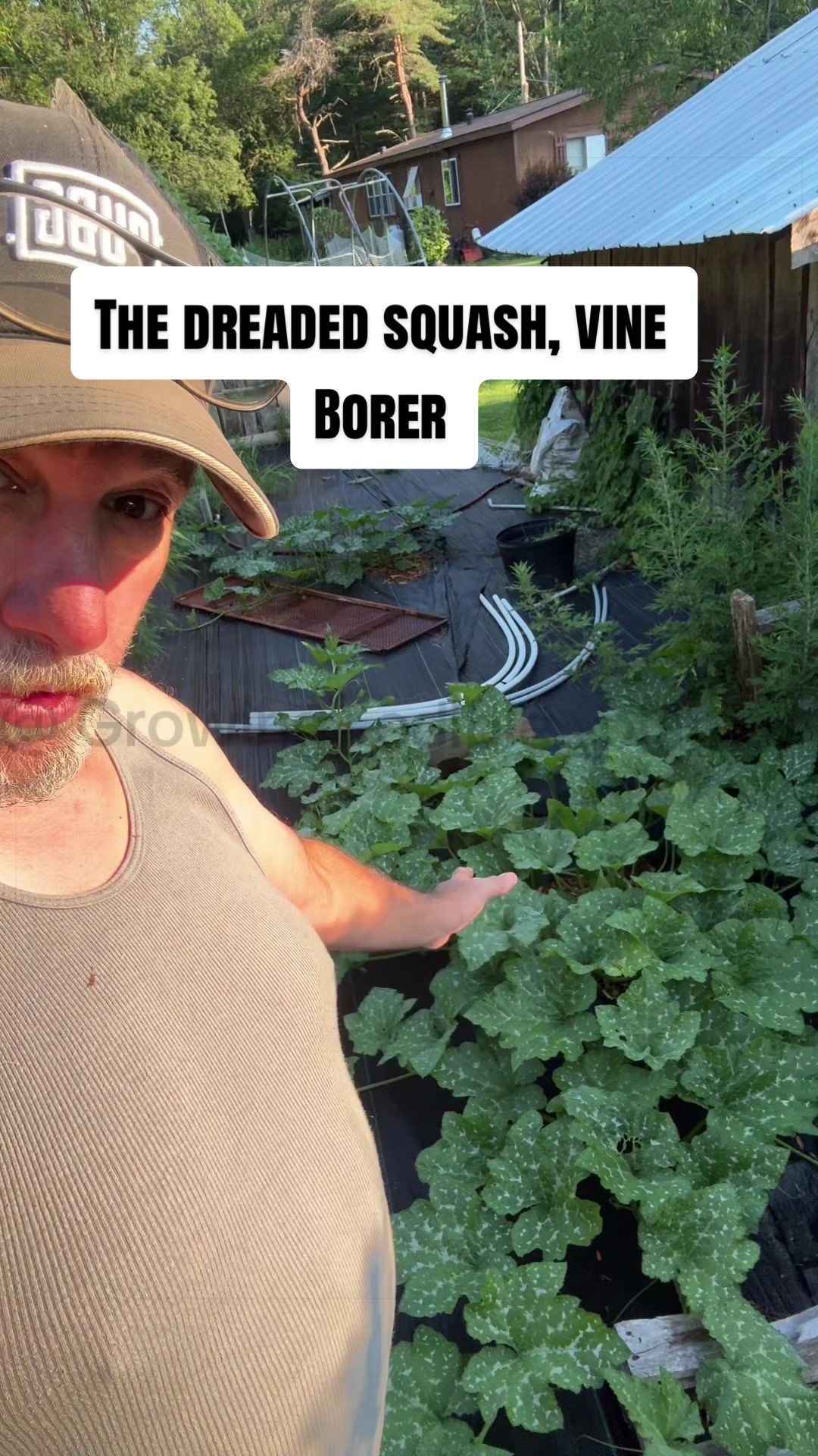 @GROWING_EDIBLE_PLANTS