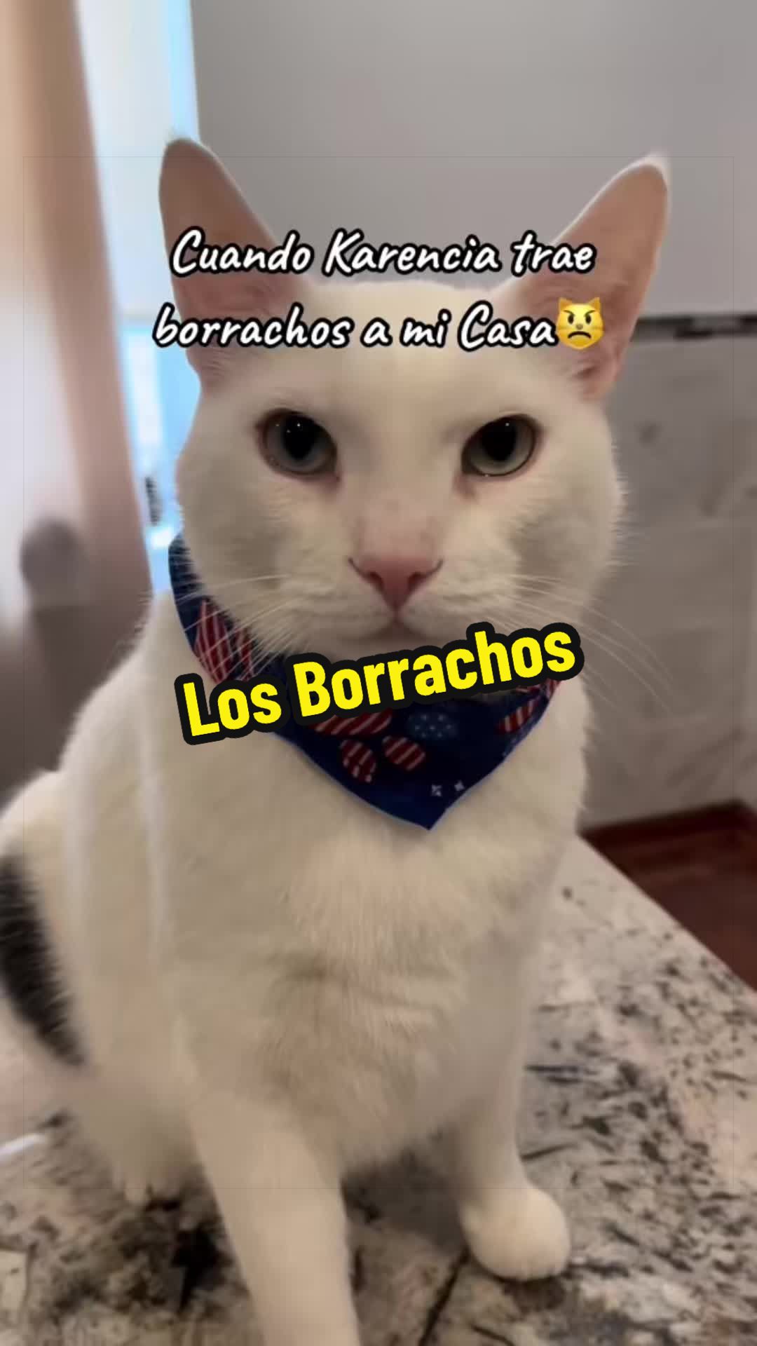 @🦖 MEOWassic CAT😺