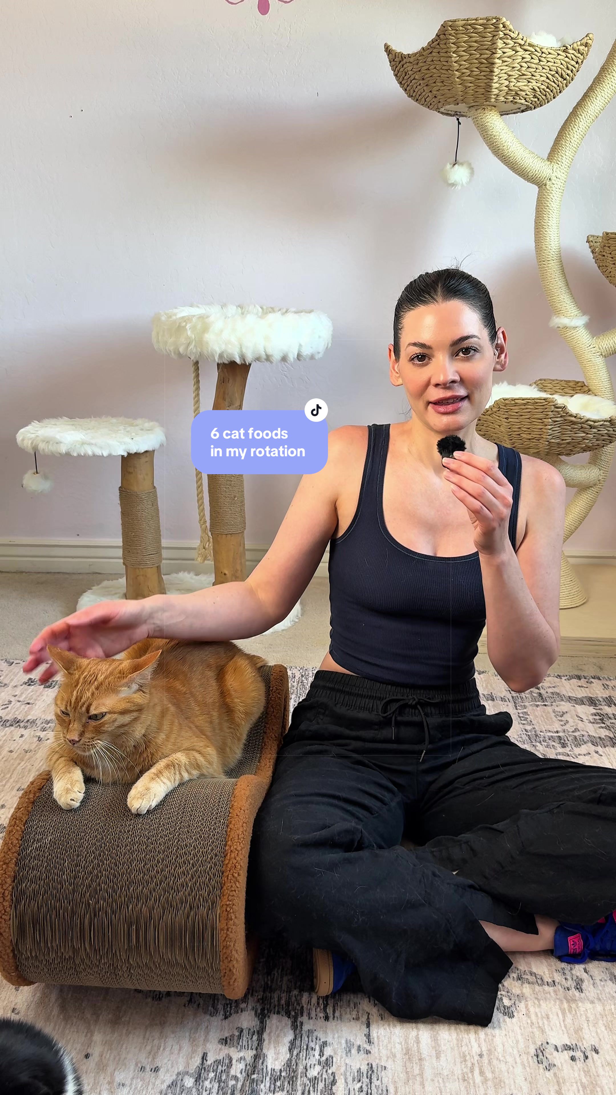 @Feminist Kitty | Cat Nutrition