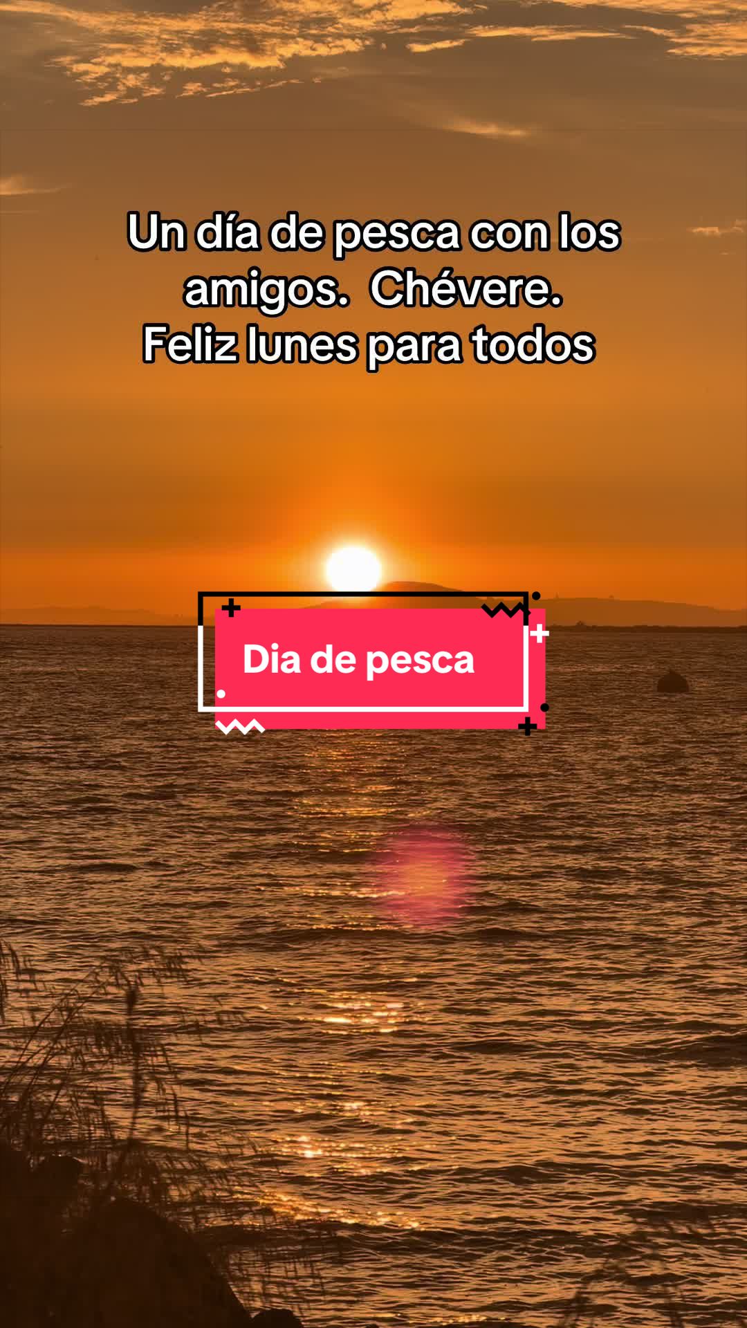 @cachito Perú 🐟