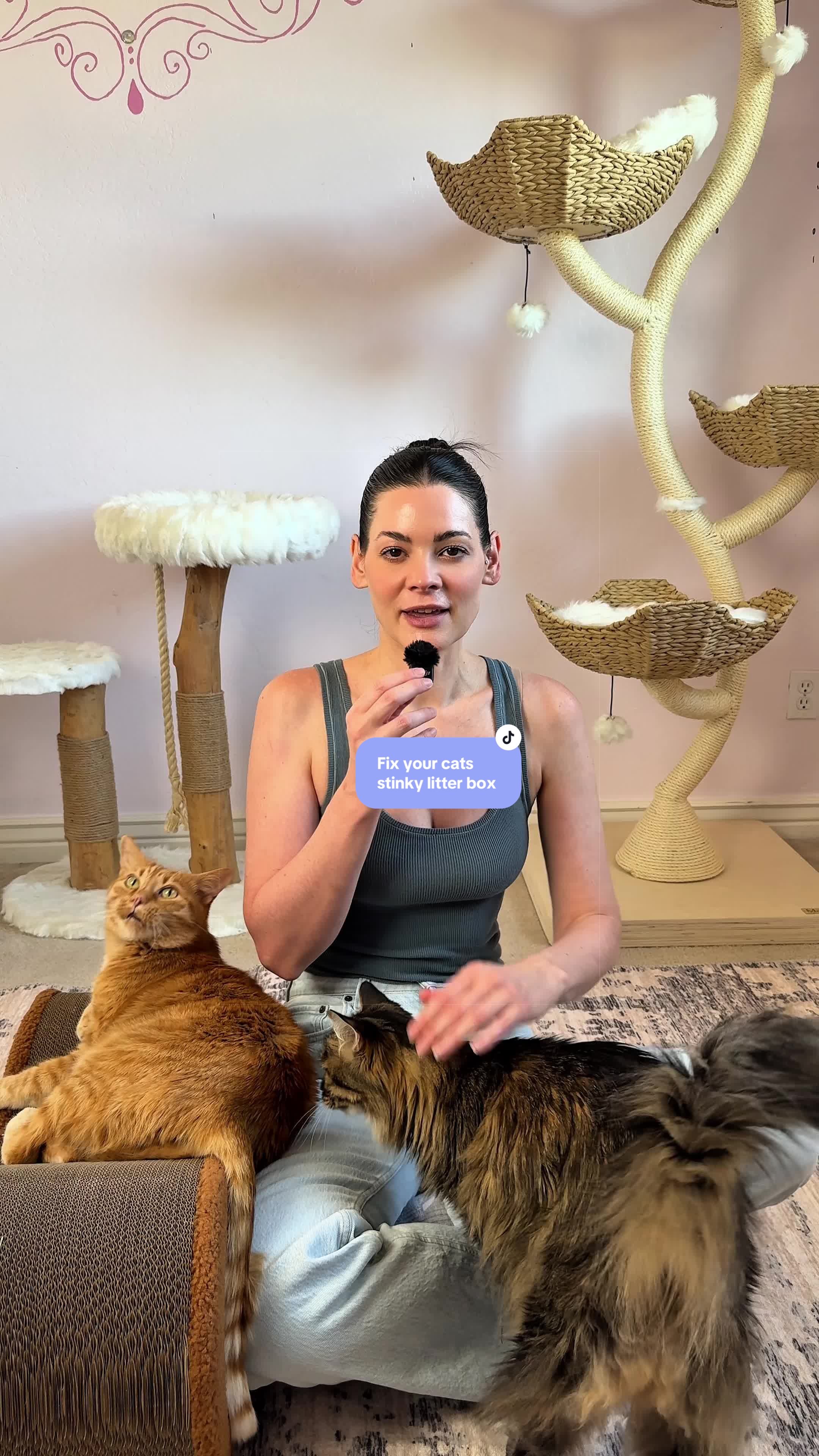 @Feminist Kitty | Cat Nutrition