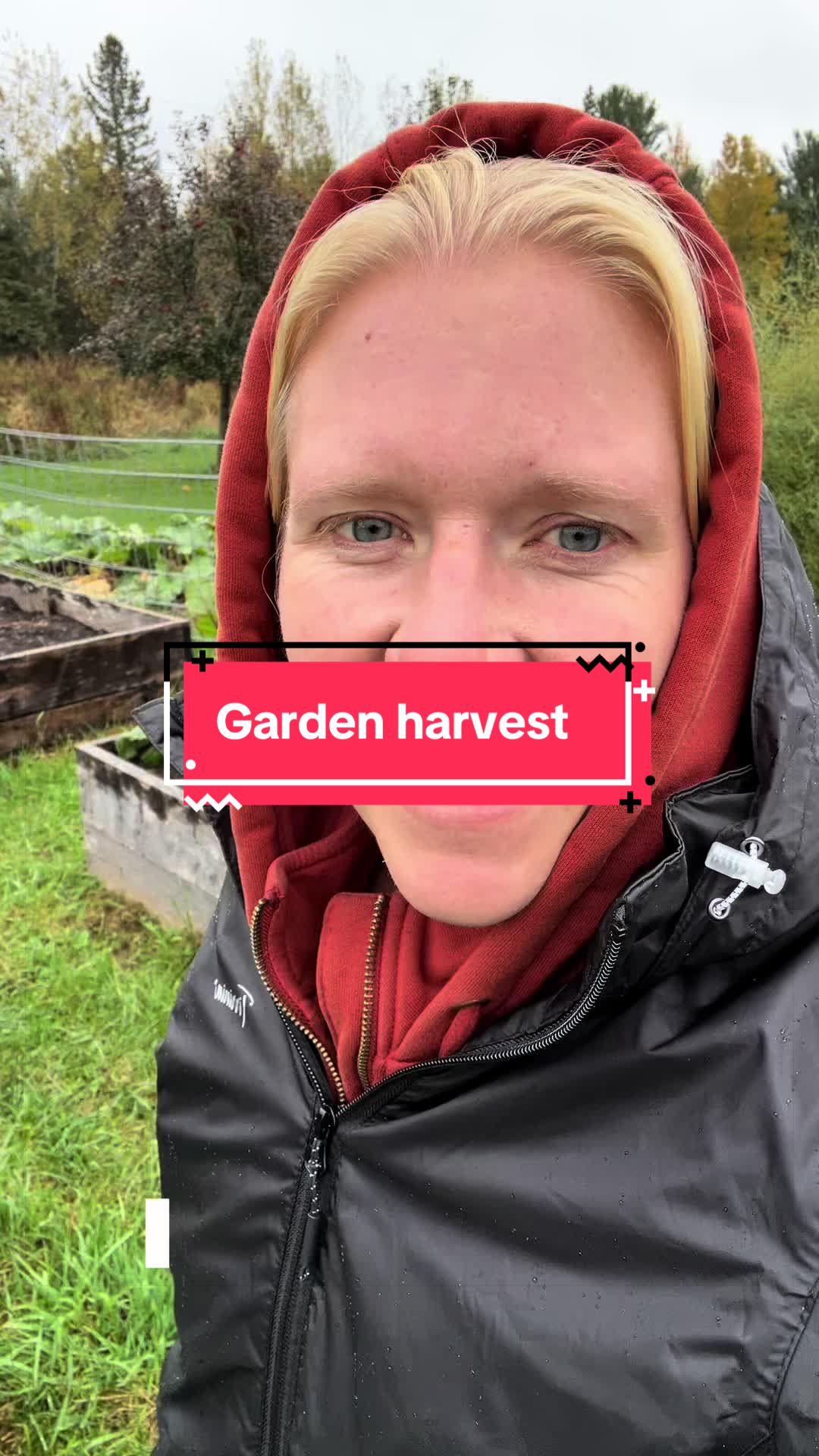 @littlesandycreekfarm
