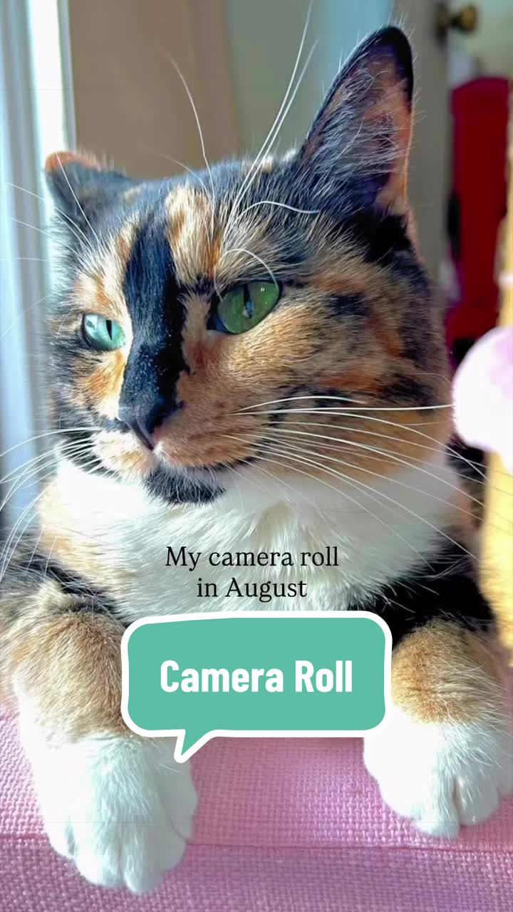 @SnickersTheSmilingCat