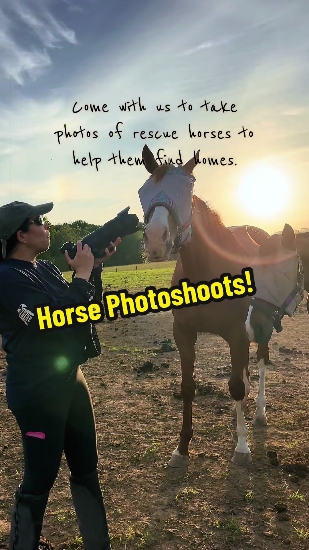 @Days End Farm Horse Rescue