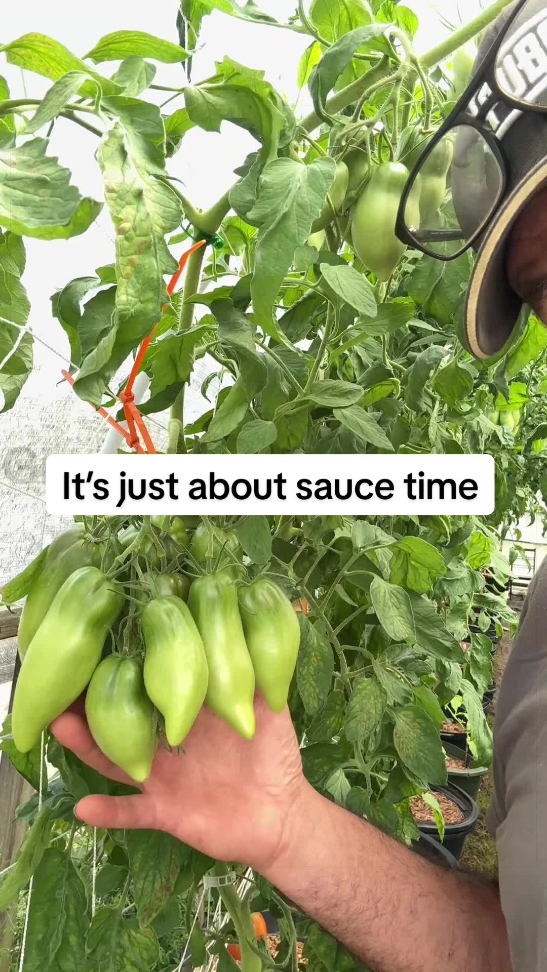 @GROWING_EDIBLE_PLANTS