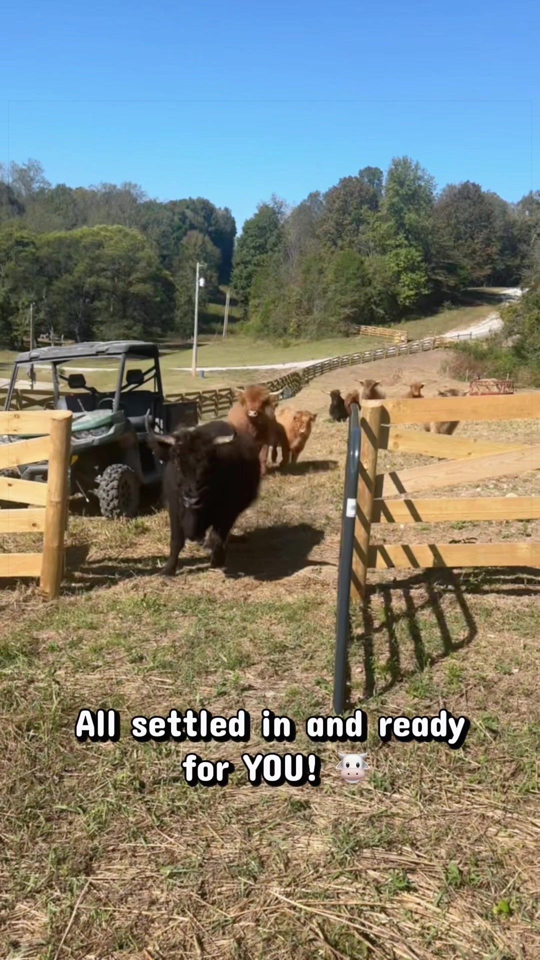 @Our Simple Homestead