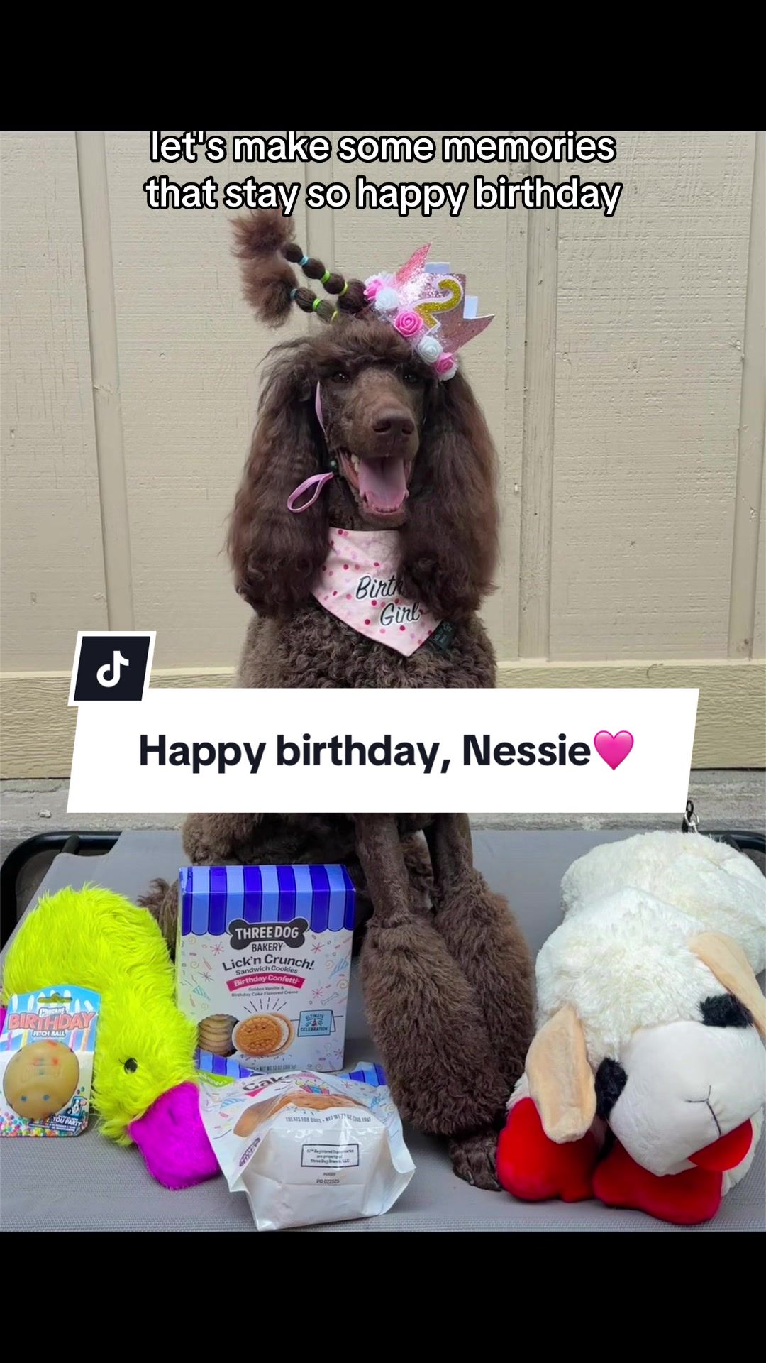 @Maddie, Jovie & Nessie🤍🤎🐩