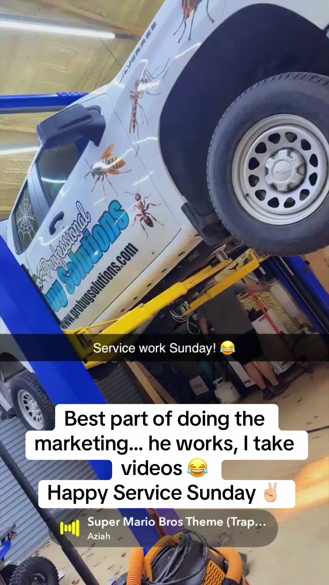 @ProBugSolutions