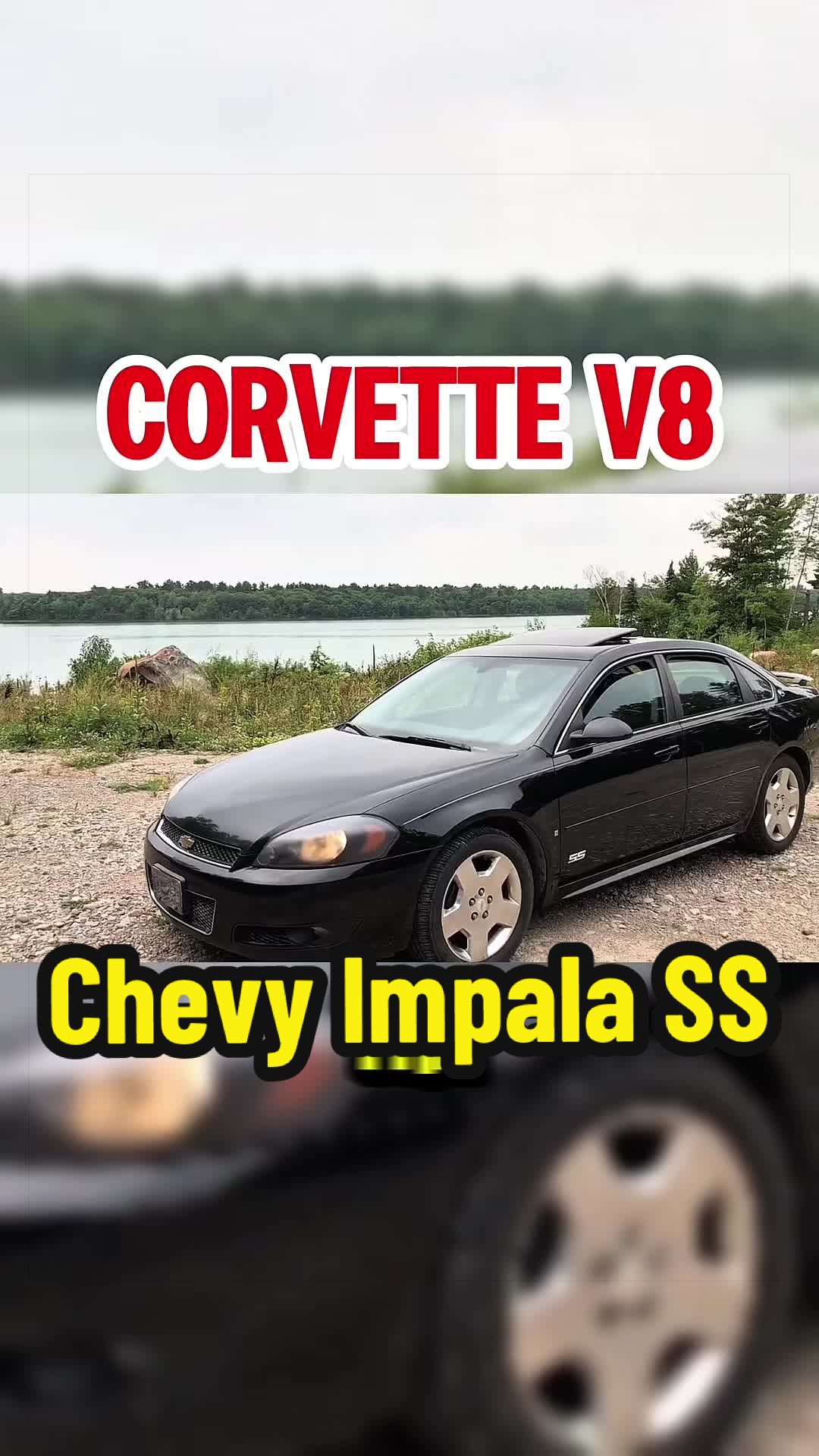 @TorqueHub🚘