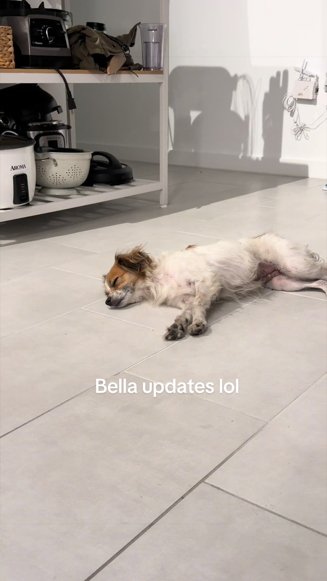 @Tee