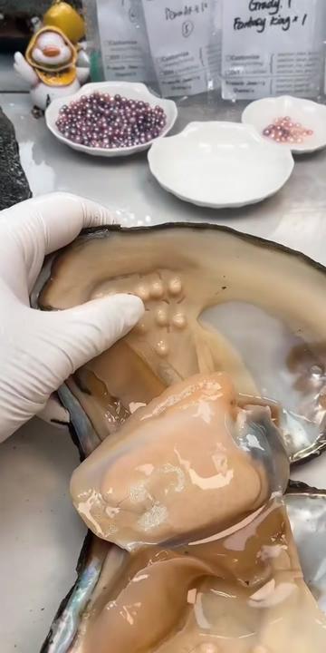 @Pearlism02