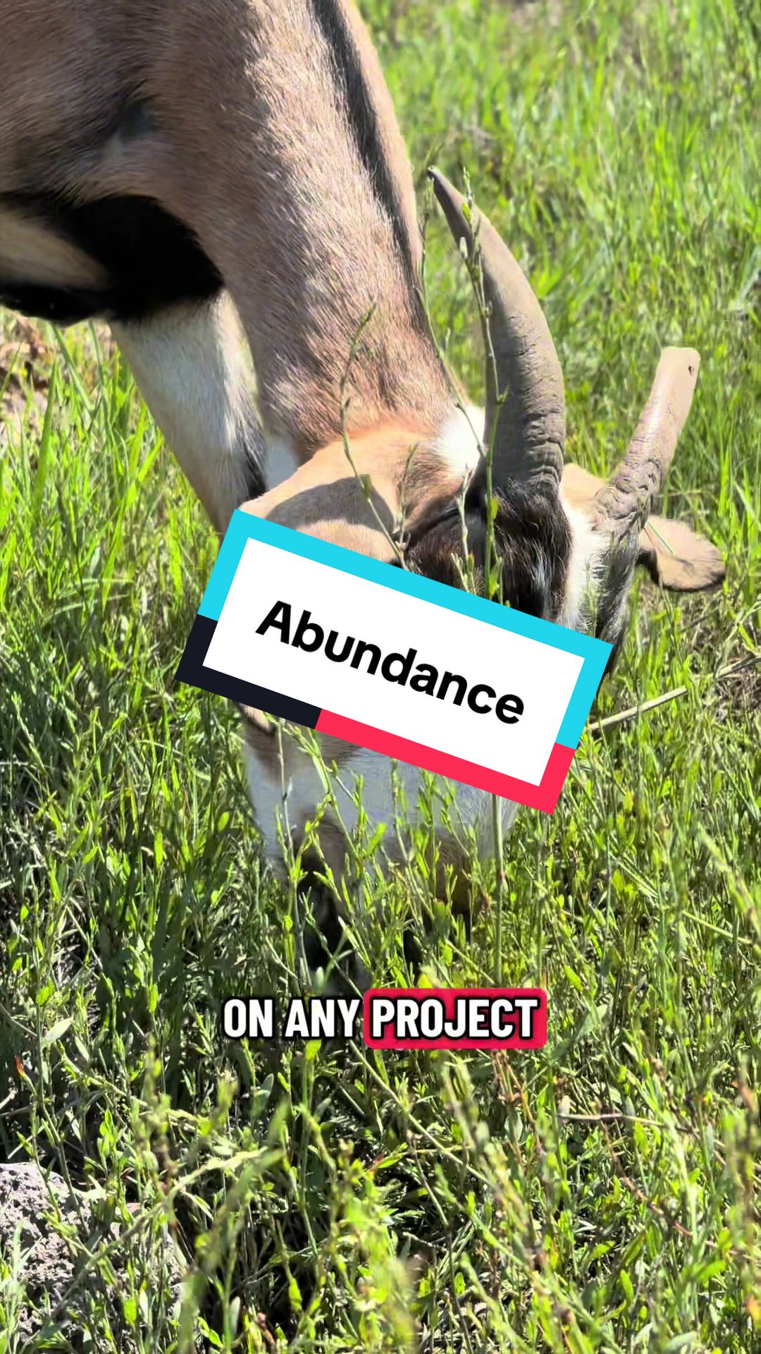 @cowboymax