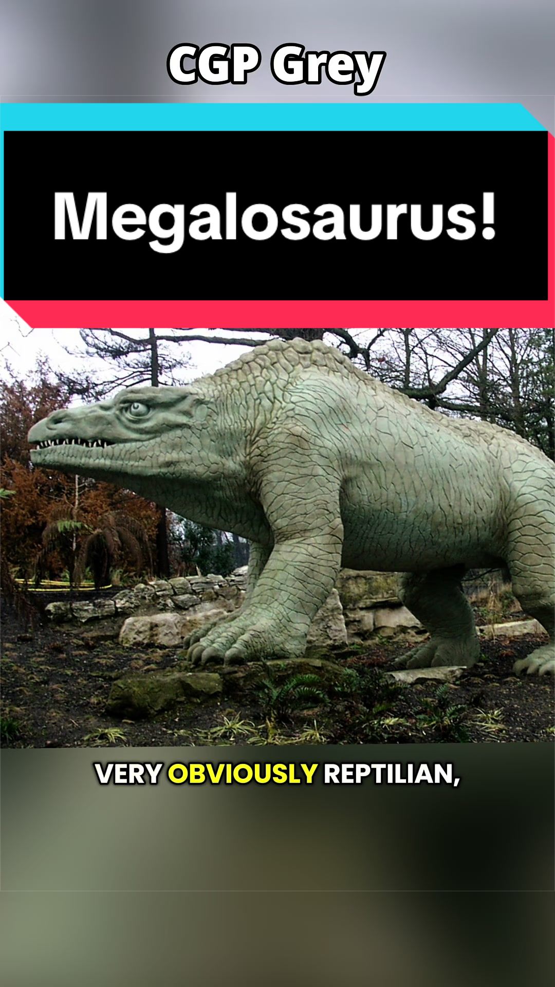 @Dino Guy