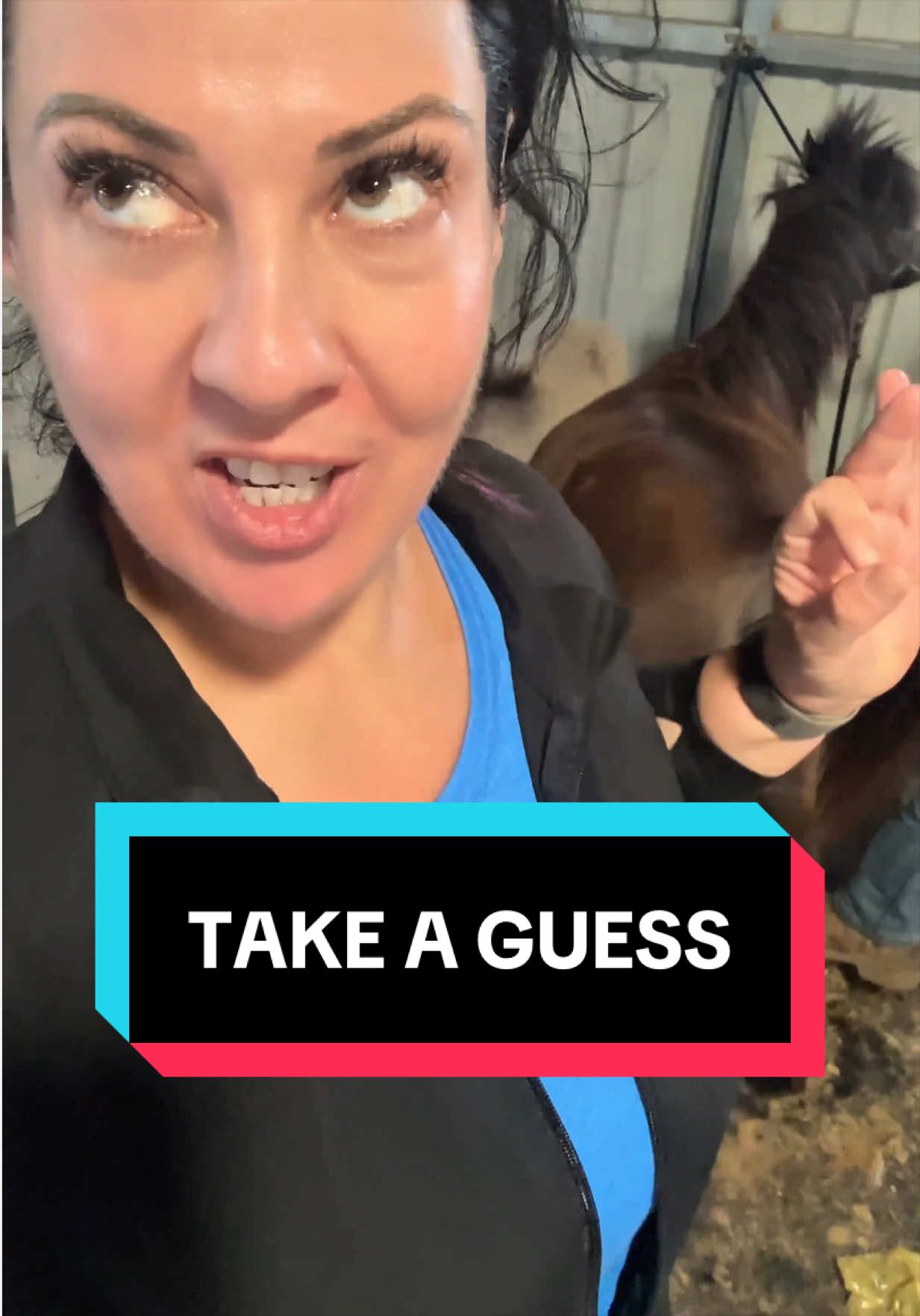 @Dr.Nicole-VetMed