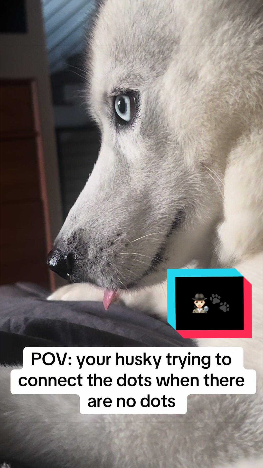 @Loki