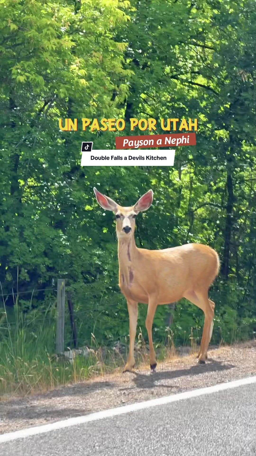 @Jely 💚 Que hacer en Utah+