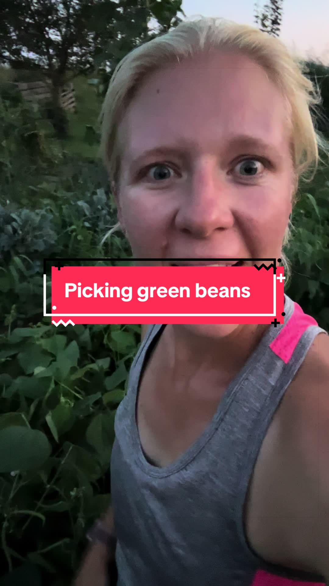 @littlesandycreekfarm