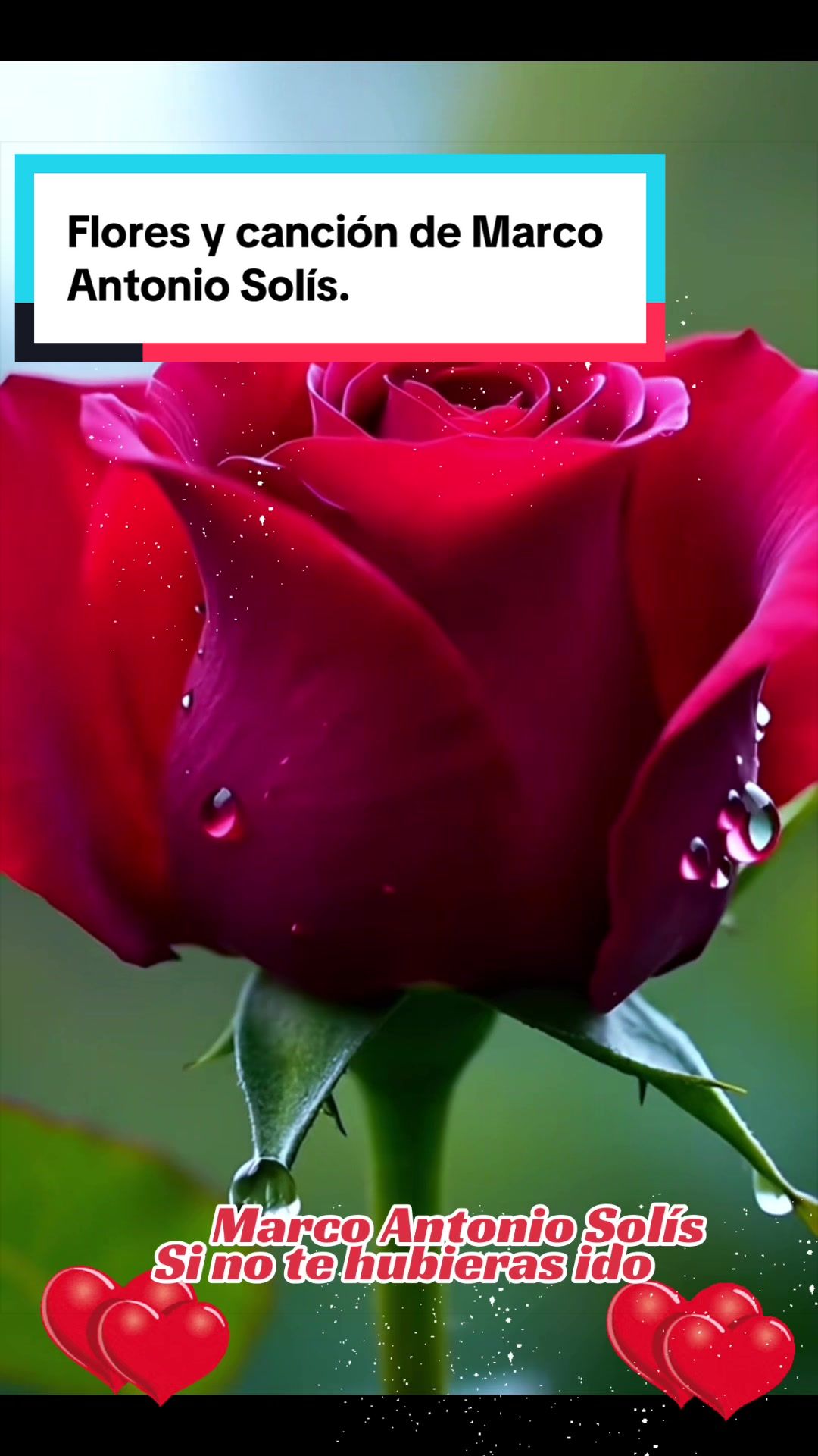 @💛Olgaconesa5💛