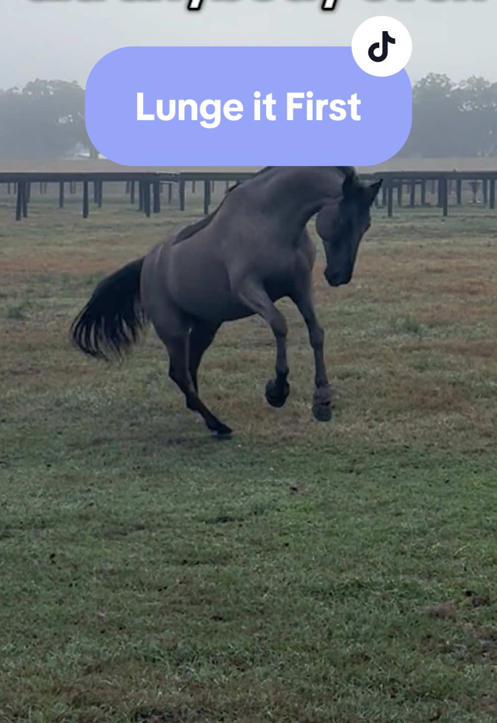 @alyssa&rsquo;s aura🐴