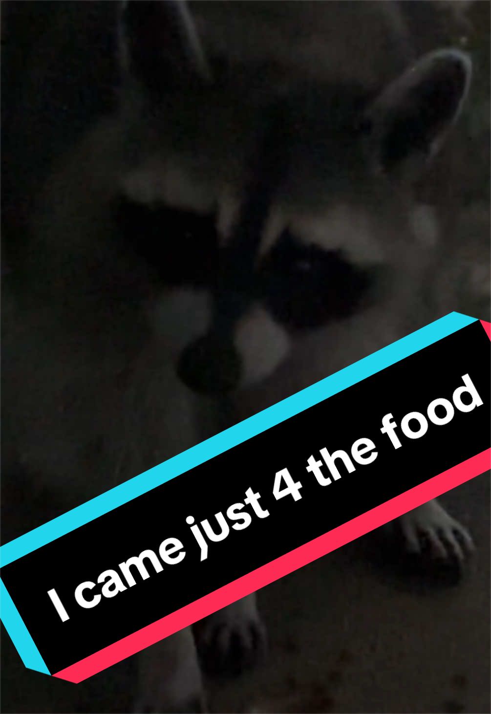 @Mae