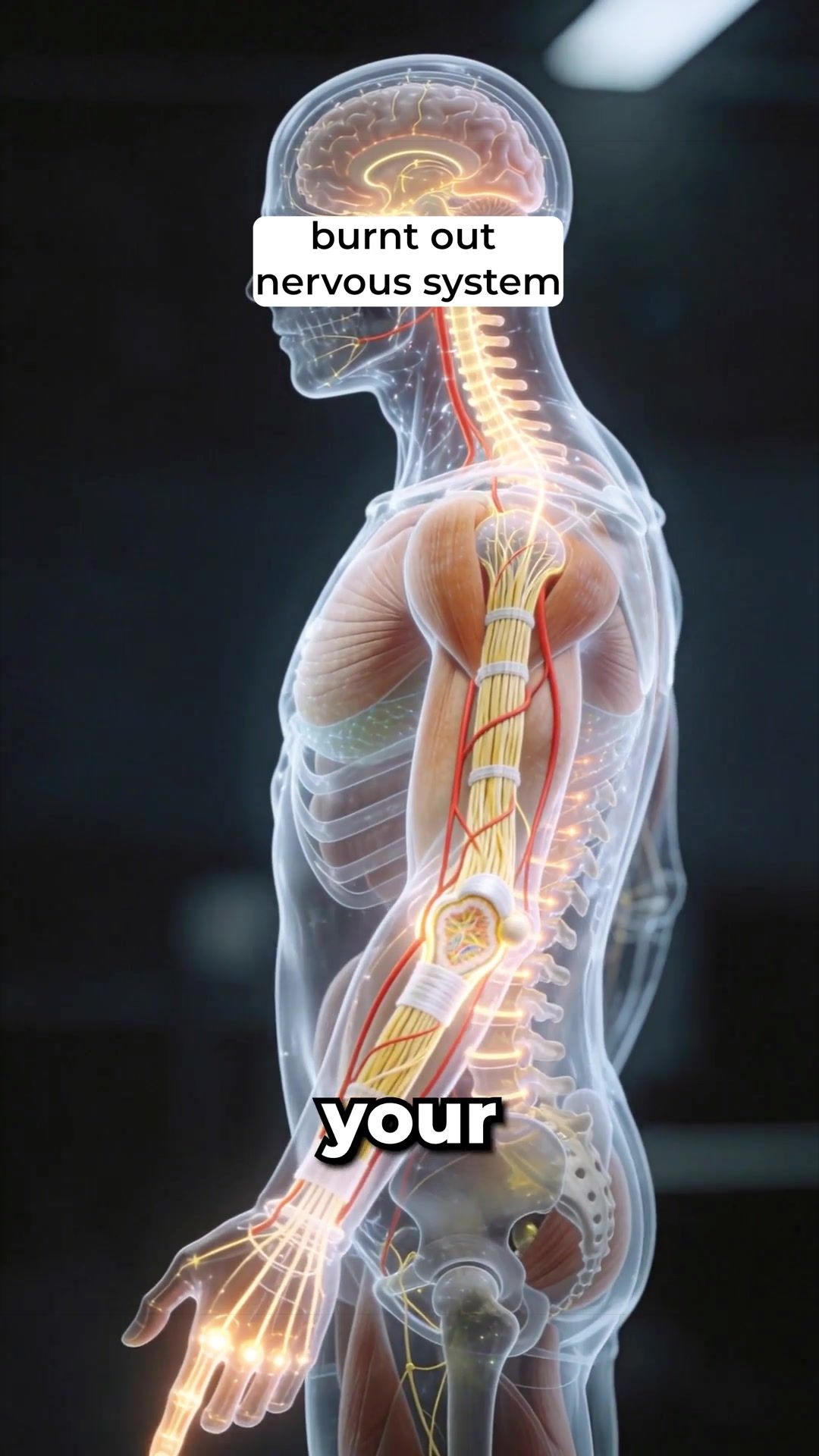 @The Workout Witch