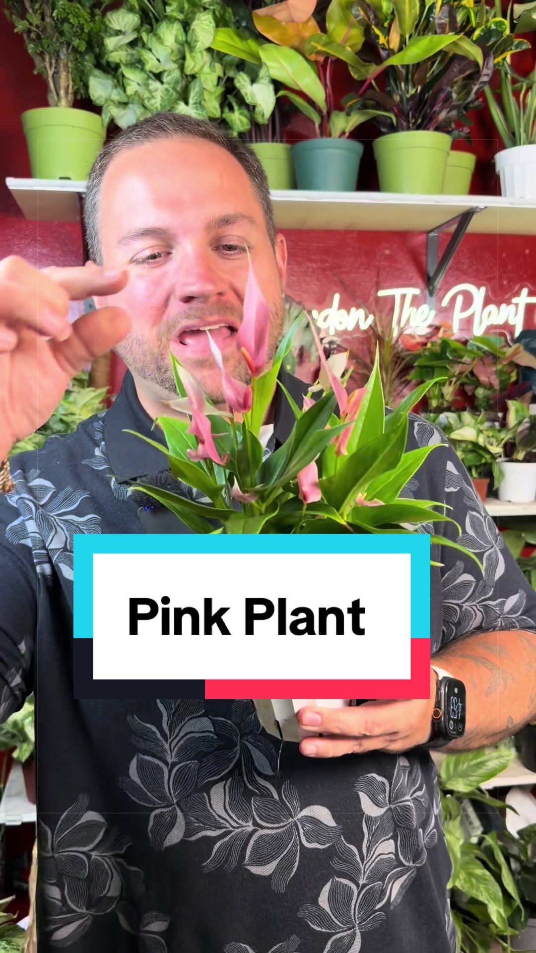 @Brandon The Plant Guy