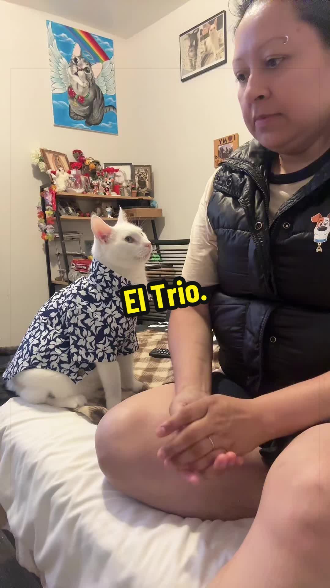 @🦖 MEOWassic World 🌎