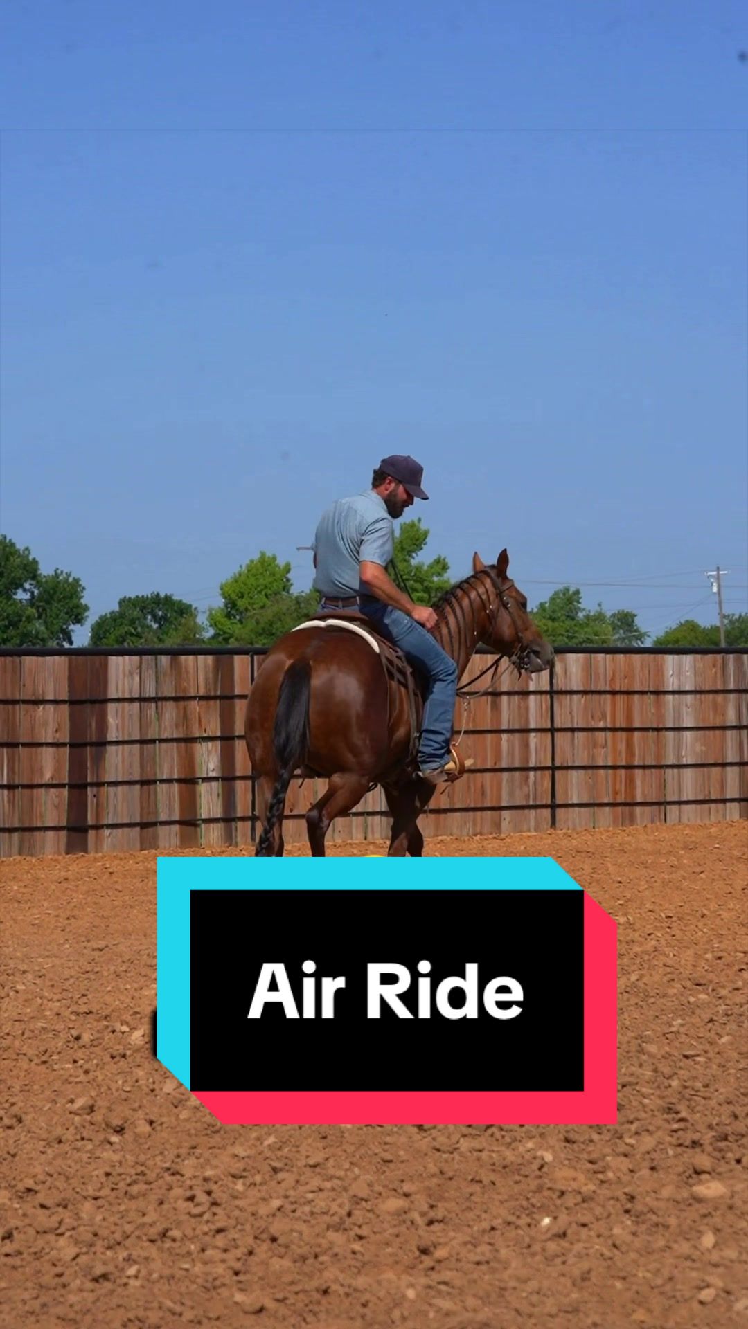 @WS Horses