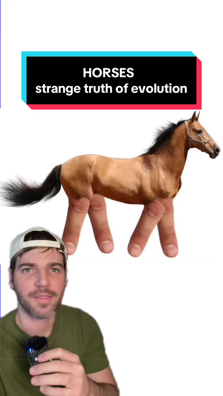 @JacobDeSio
