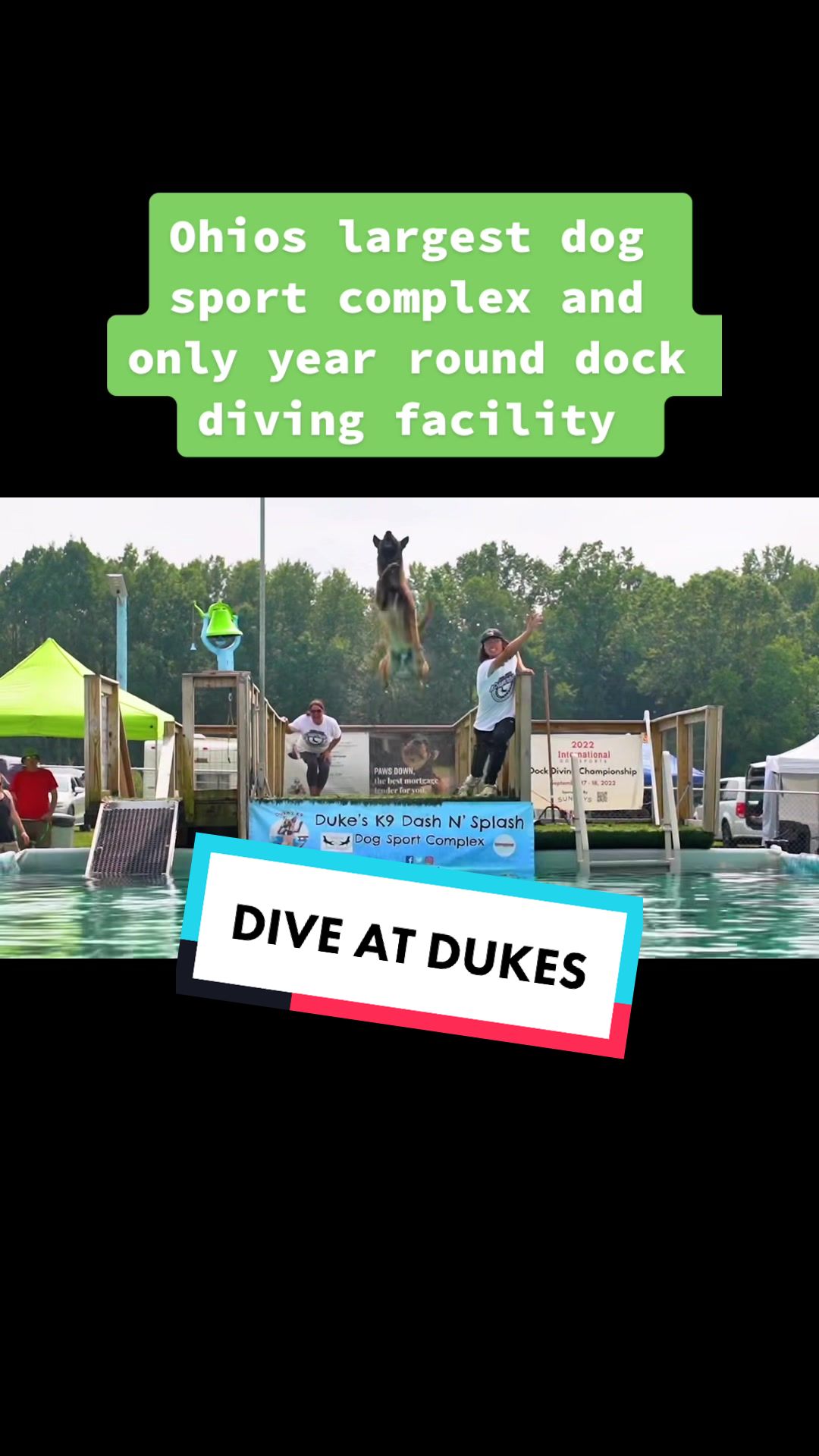 @Dukes K9 Dash n Splash