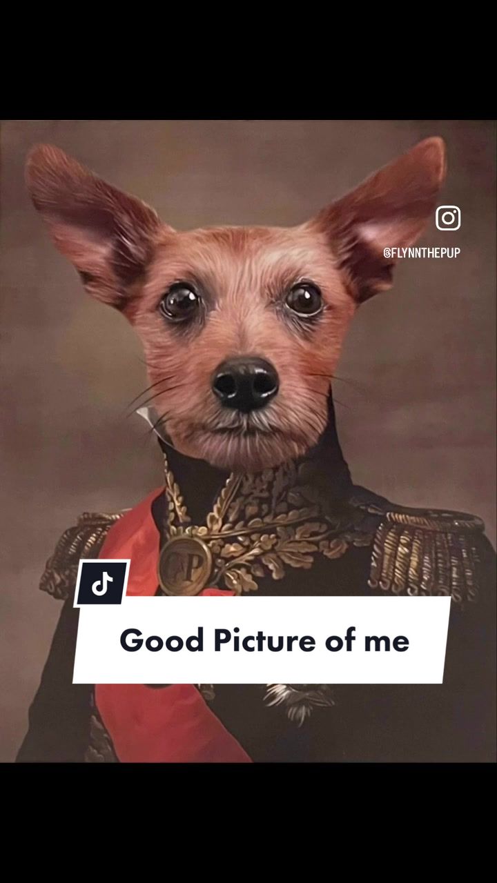 @flynn.ryder