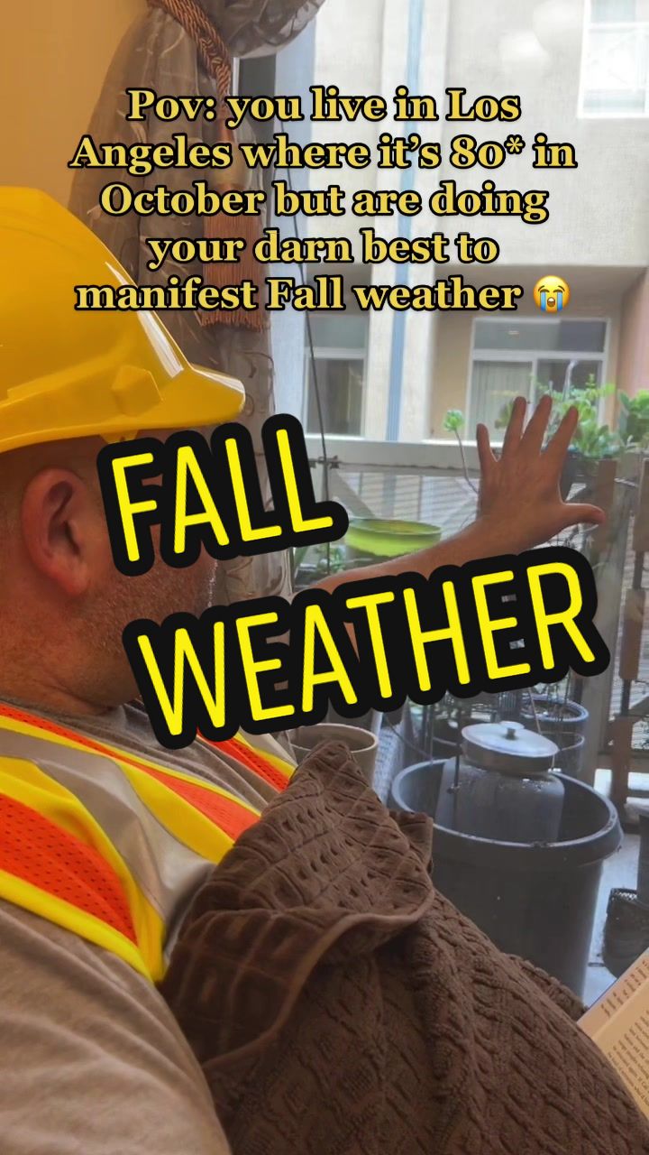 @Cash the Builder