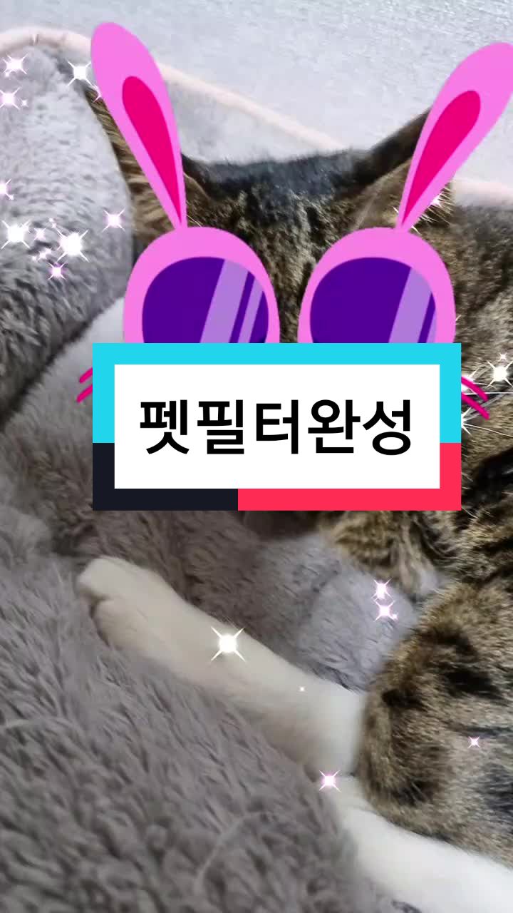 @봉봉_bongbong