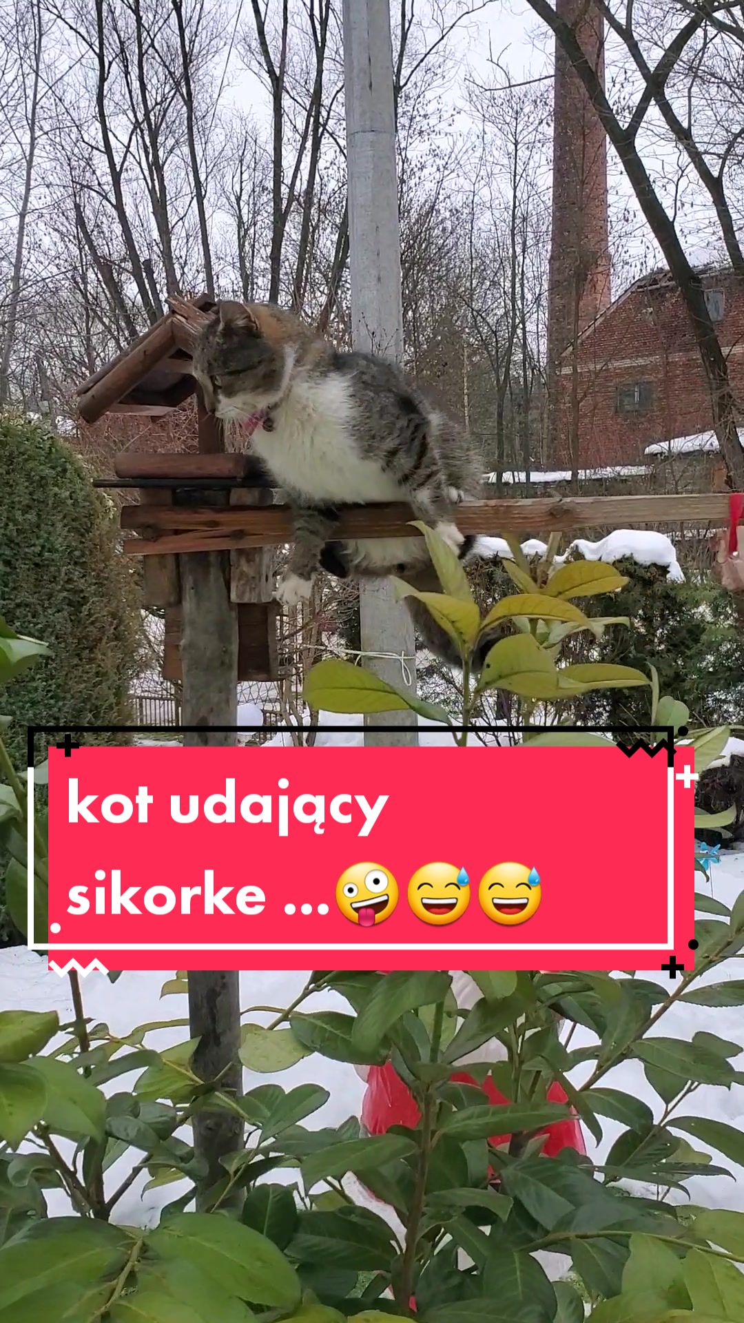 @Aneczka007🇵🇱♡🇺🇲