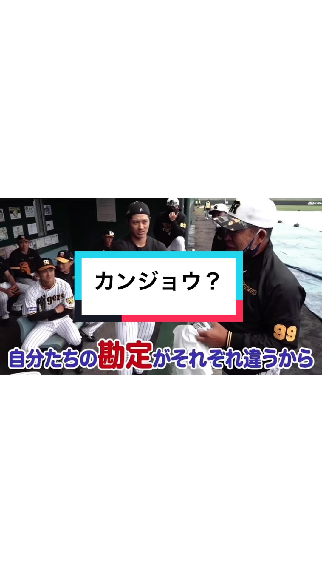 @ま 🦅🐯⚾️