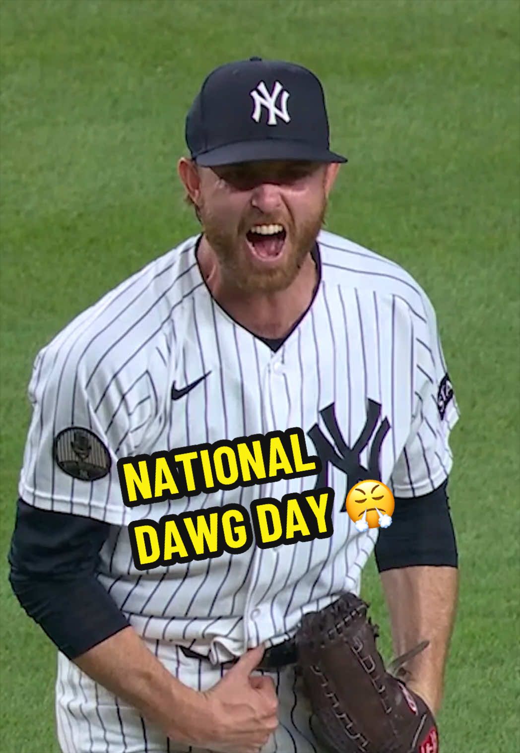 @Yankees