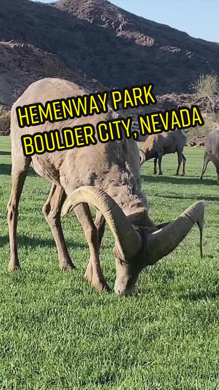 @try.new.places