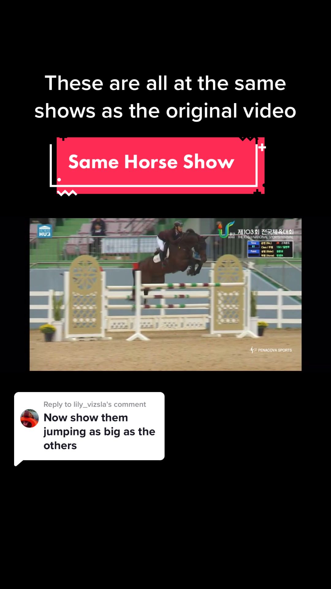 @BlueStarEquestrian