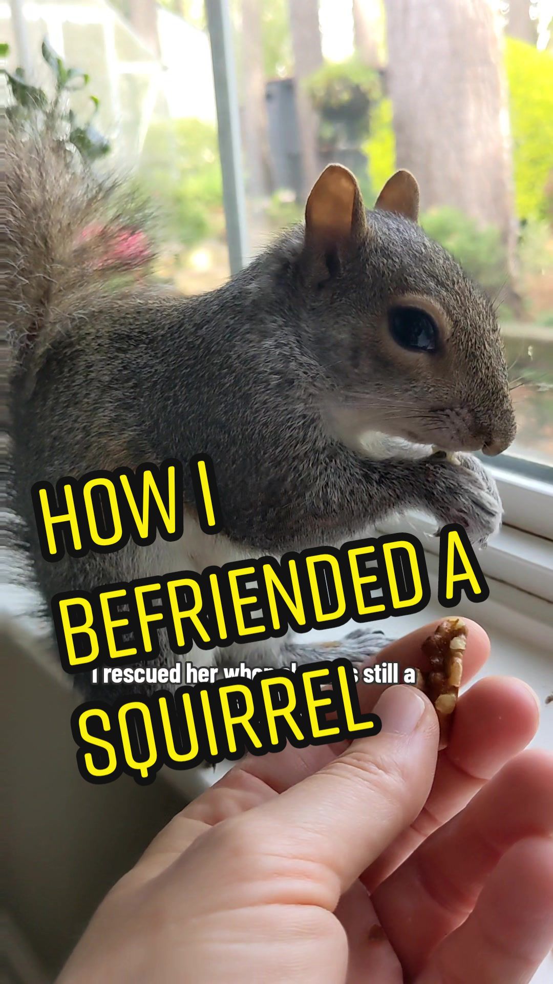 @Miss Bonnie McSquirrely