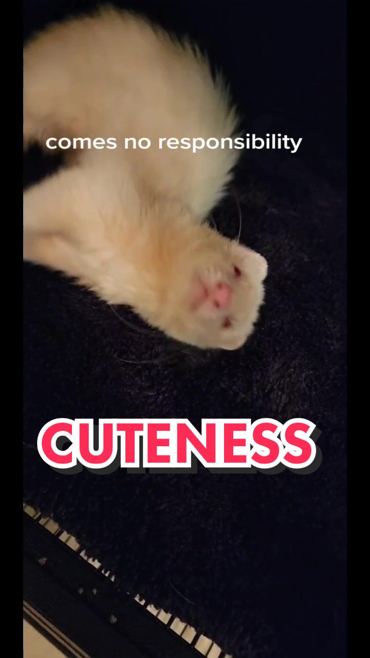 @Fuchsia
