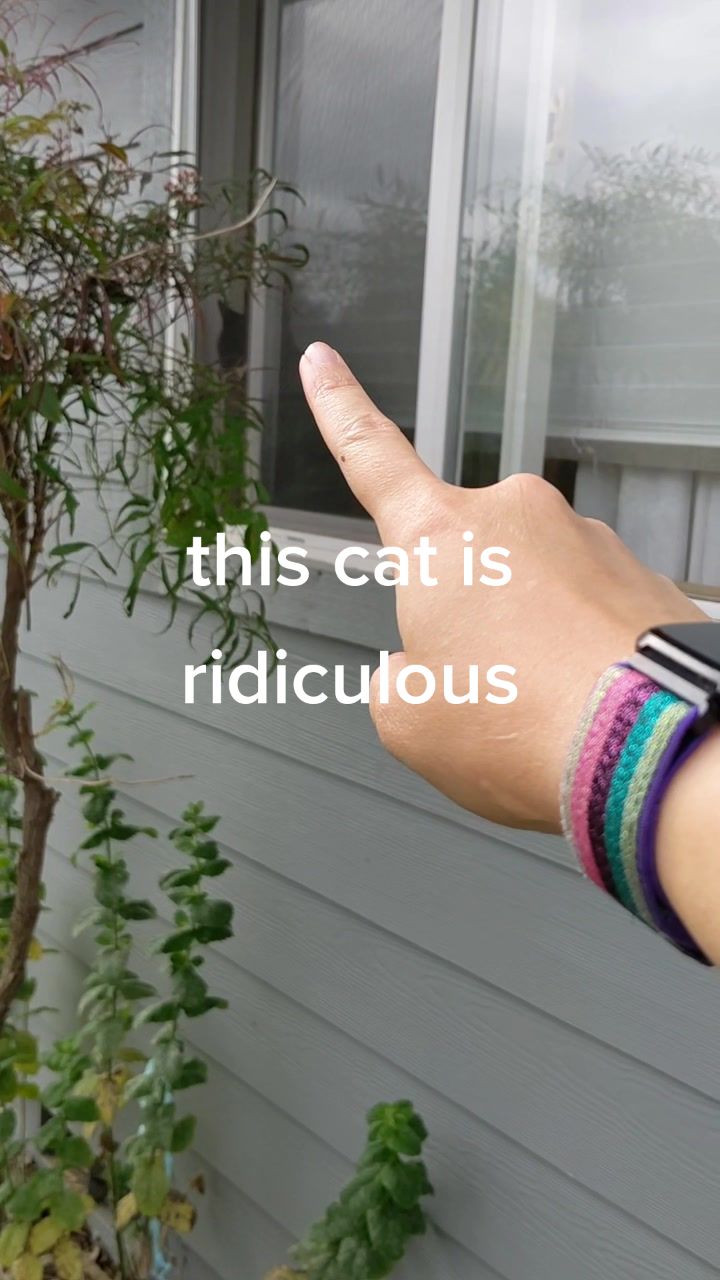@Emily Kenney